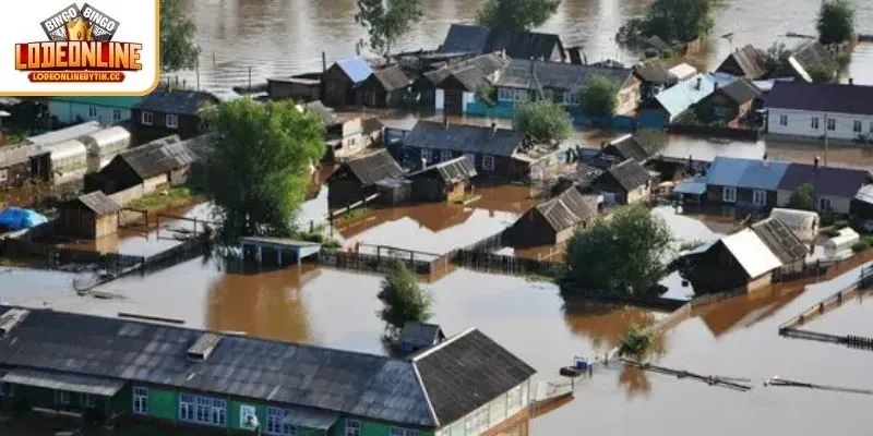 Nằm mơ thấy nước lũ ngập nhà đánh con gì để về bờ